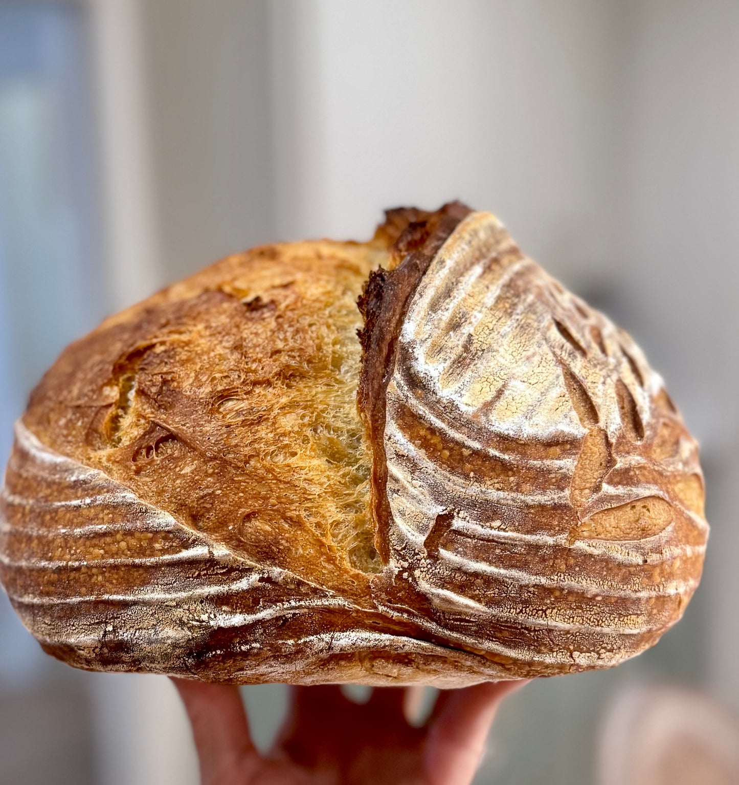The OG Sourdough