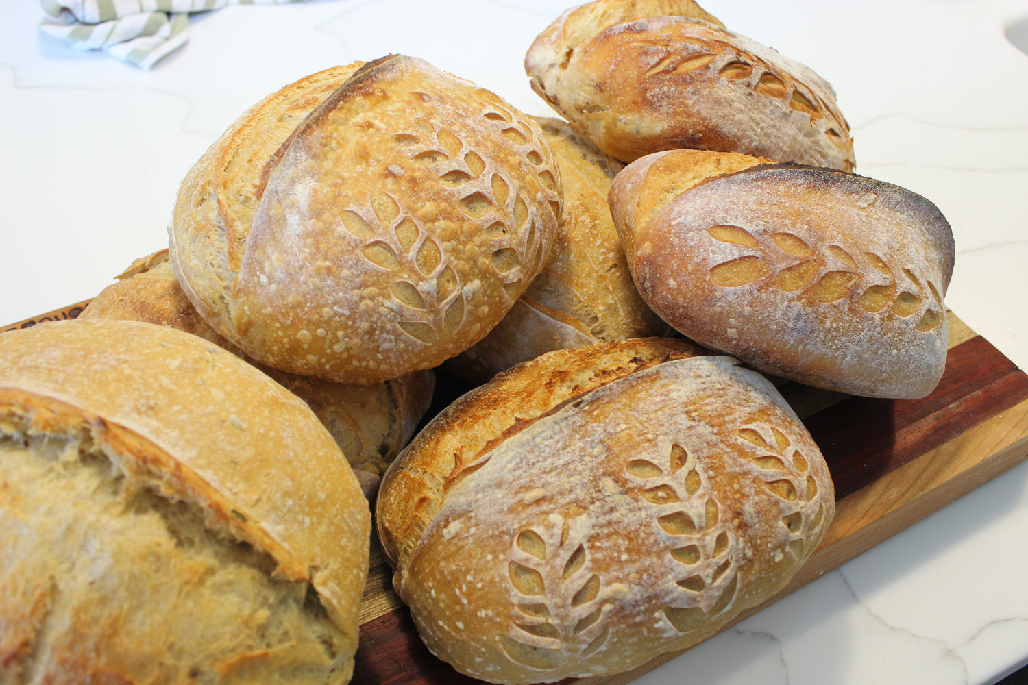 Sourdough Loaves